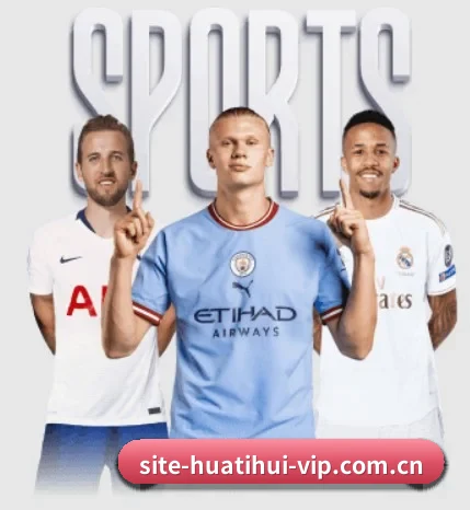 极简导航逻辑，高阶数据与专栏查询一步直达